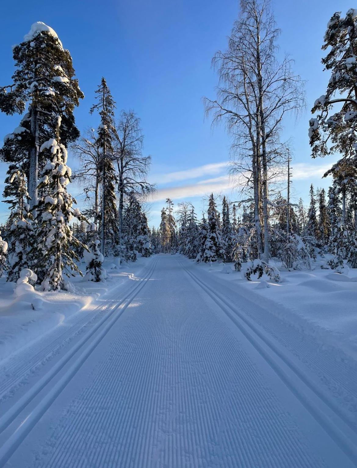 Karhunkehto Luosto